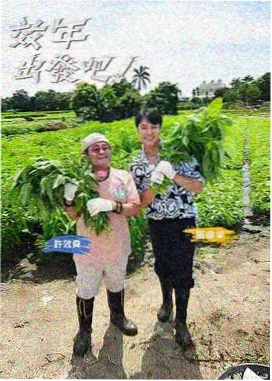 手艺人 文化纪实综艺在线看
